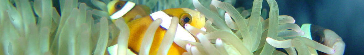 サンピアザ水族館