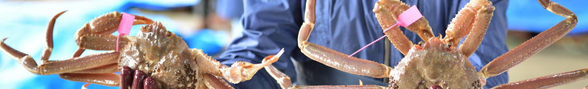 香住ガニ