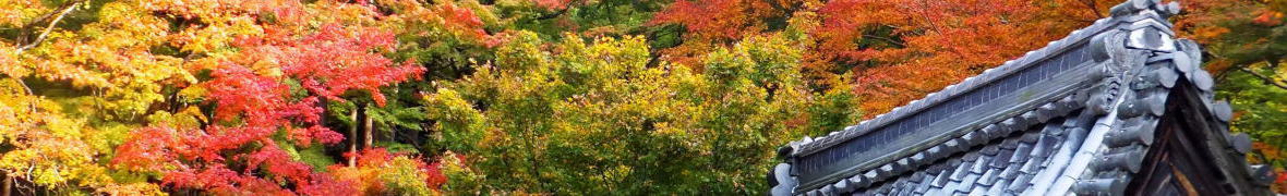 湖東三山・百済寺