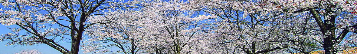 氏家ゆうゆうパーク