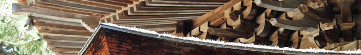 安楽寺八角三重塔