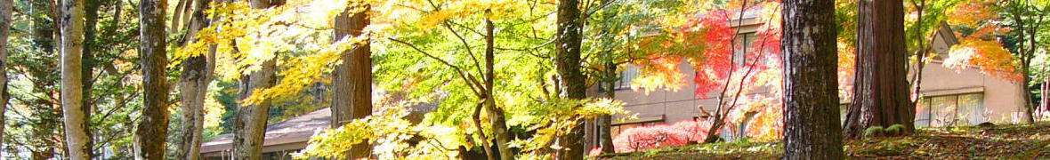 軽井沢別荘地の秋