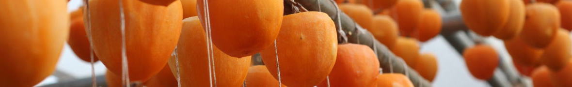 ころ柿のすだれ