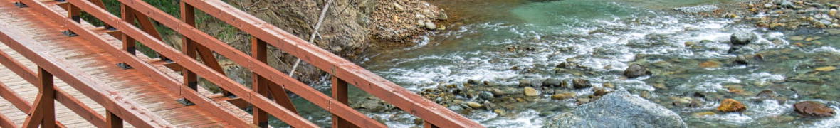 ころ柿のすだれ