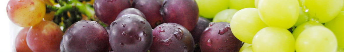 霧島さくらフルーツランド