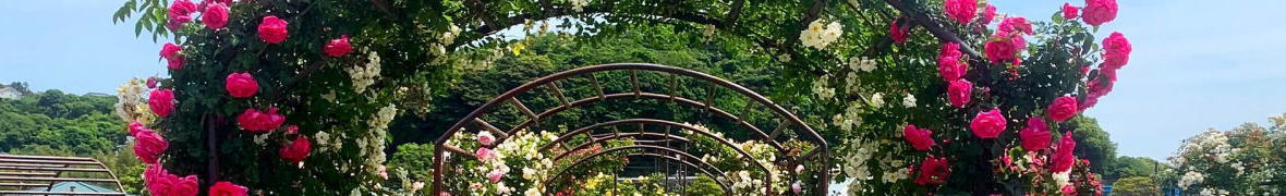 エコパーク水俣