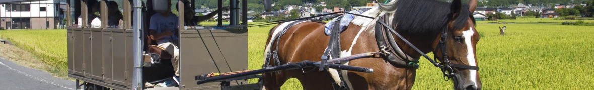 由布院の観光辻馬車