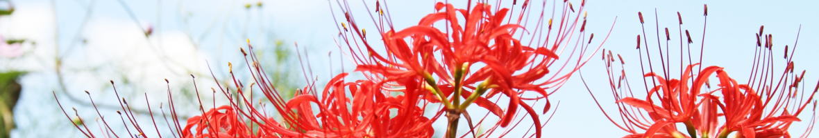 庄原・国営備北丘陵公園