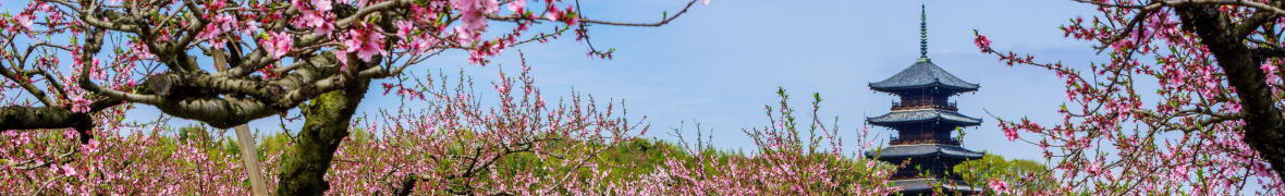 備中国分寺の五重塔