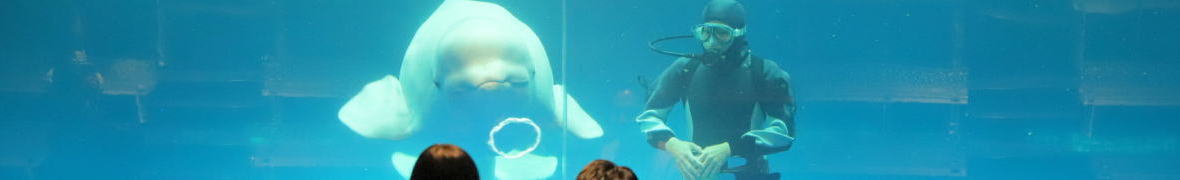 島根県立しまね海洋館 アクアス