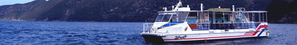 海底が見える船