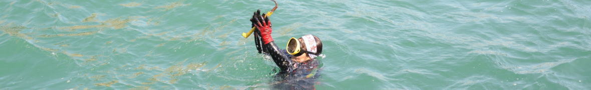 久慈市・北限の海女