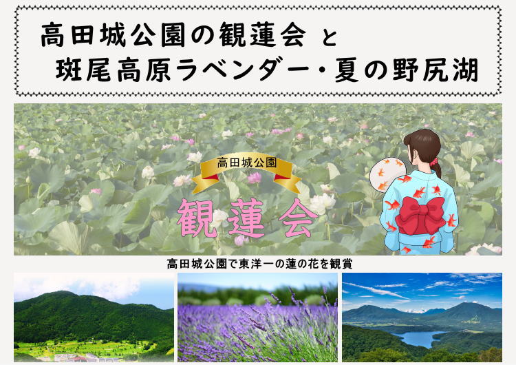 高田城公園の観蓮会