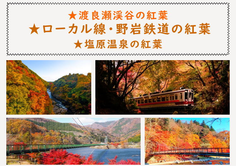 野岩鉄道の紅葉