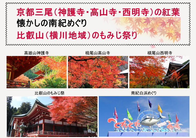 京の紅葉と南紀白浜