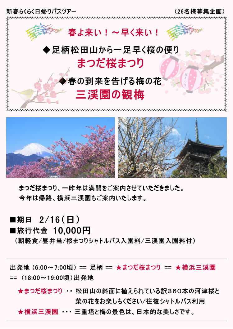 チラシ・まつだ桜まつりと三渓園の観梅